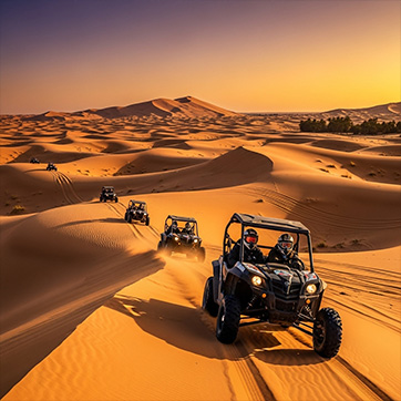 Dune Buggy Safari